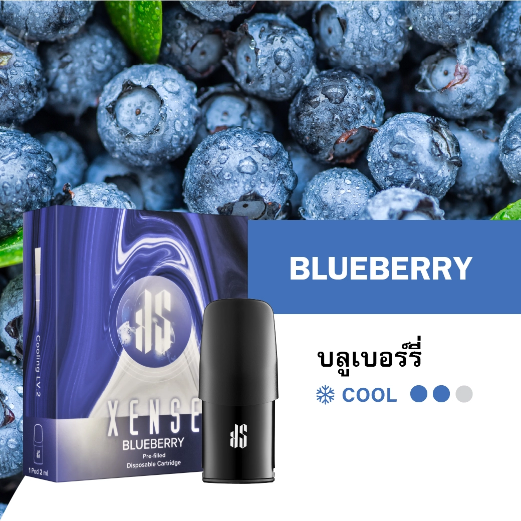 Ks Xense Pod Blueberry | RELX Thailand Ks Xense Pod Blueberry